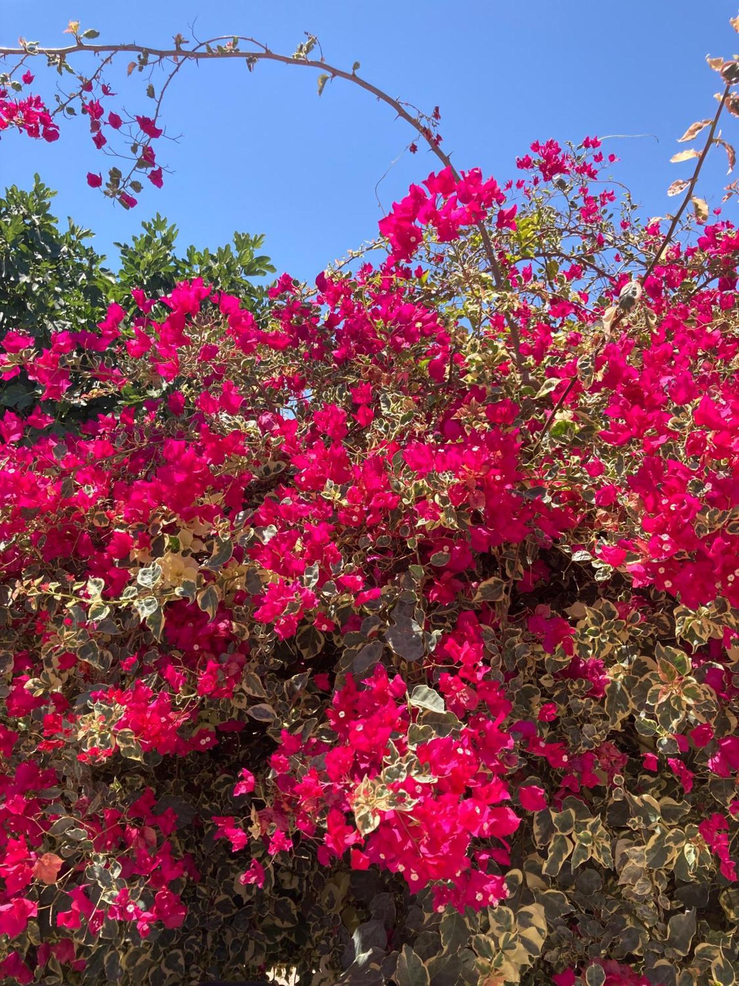 Casinha Serena Santo Estevao  ภายนอก รูปภาพ